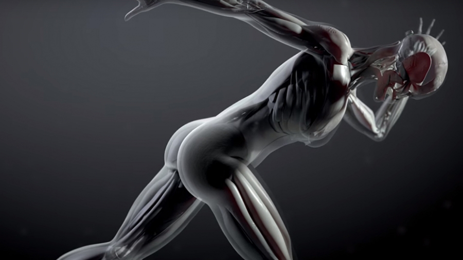 El Barcelona Supercomputing Center trabaja en un proyecto de humano virtual